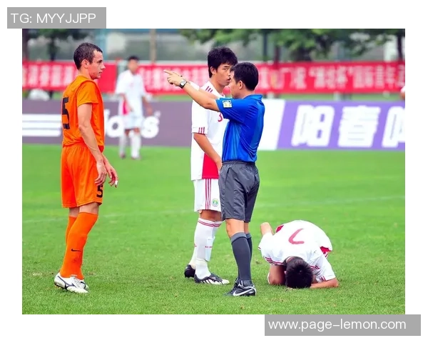 2014年山东鲁能与上海申花精彩对决回顾及赛后分析 2014年山东鲁能与上海申花精彩对决回顾及赛后分析